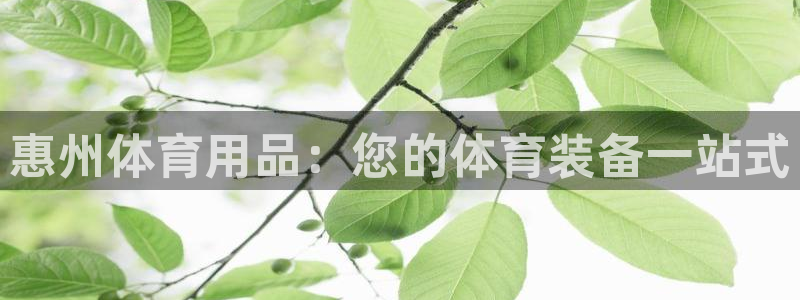 欧陆娱乐不让提现吗：惠州体育用品：您的体育装备一站式