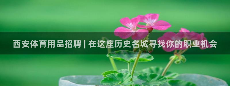 欧陆注册码：西安体育用品招聘 | 在这座历史名城寻找