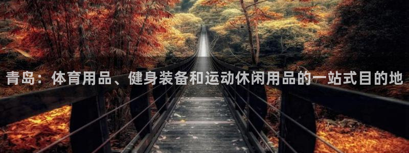 欧陆娱乐平台咋样啊安全吗：青岛：体育用品、健身装备和