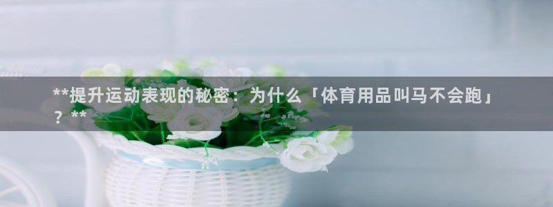 欧陆娱乐游戏：**提升运动表现的秘密：为什么「体育用