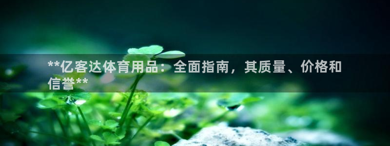 欧陆娱乐平台咋样赚钱的：**亿客达体育用品：全面指南