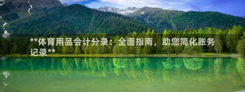 欧陆娱乐打什么方案：**体育用品会计分录：全面指南，