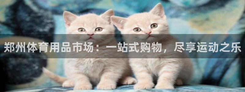 欧陆娱乐招商主管：郑州体育用品市场：一站式购物，尽享