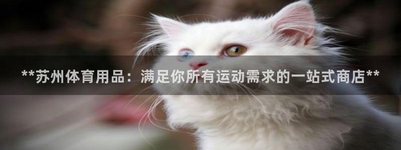 欧陆娱乐平台咋样赚钱快：**苏州体育用品：满足你所有