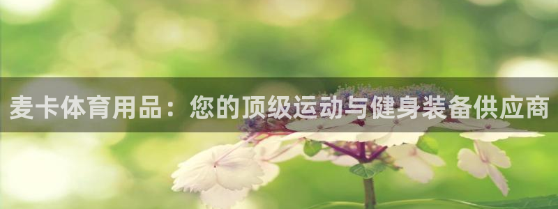欧陆娱乐总代理是谁：麦卡体育用品：您的顶级运动与健身