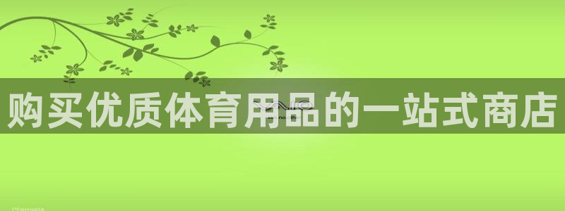 欧陆娱乐怎么注册帐号登录：购买优质体育用品的一站式商