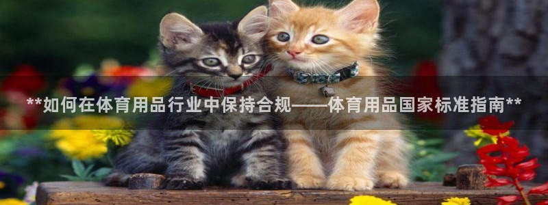 欧陆娱乐客服电话人工服务热线：**如何在体育用品行业
