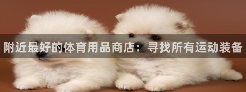欧陆商城：附近最好的体育用品商店：寻找所有运动装备
