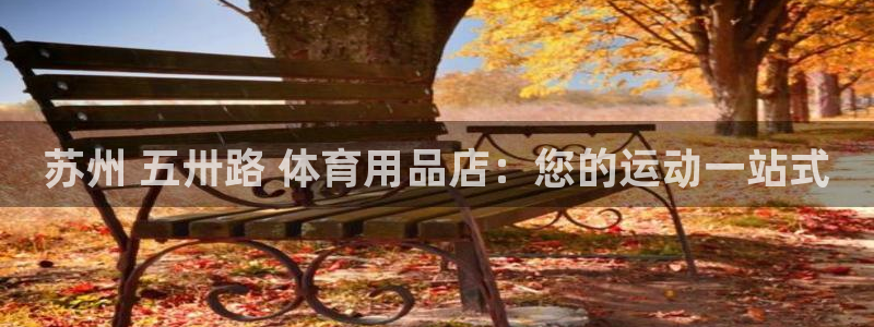 欧陆娱乐app攻略大全：苏州 五卅路 体育用品店：您