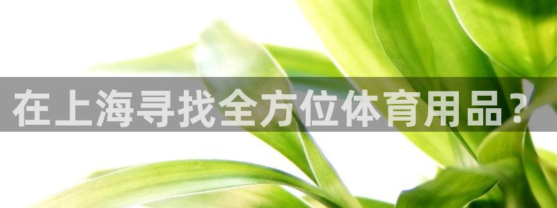 欧陆娱乐平台登录：在上海寻找全方位体育用品？
