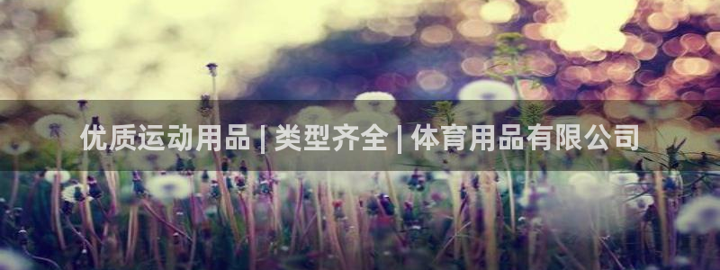 欧陆娱乐平台咋样：优质运动用品 | 类型齐全 | 体