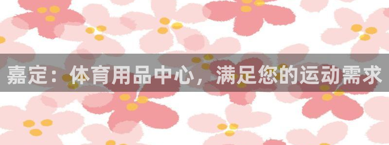 欧陆娱乐天富主管：嘉定：体育用品中心，满足您的运动需