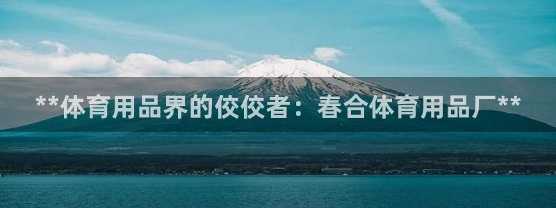 欧陆娱乐打什么方案：**体育用品界的佼佼者：春合体育
