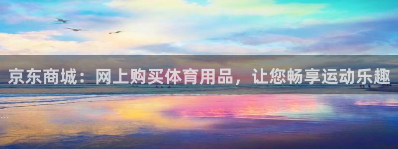 欧陆娱乐平台咋样赚钱：京东商城：网上购买体育用品，让