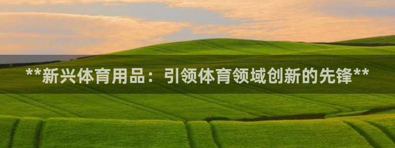 欧陆注册码：**新兴体育用品：引领体育领域创新的先锋