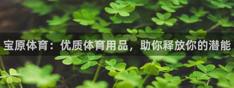 欧陆娱乐安全吗：宝原体育：优质体育用品，助你释放你的
