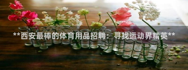欧陆娱乐测试：**西安最棒的体育用品招聘：寻找运动界