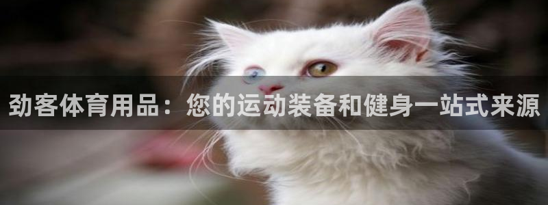欧陆娱乐能不能玩手游：劲客体育用品：您的运动装备和健