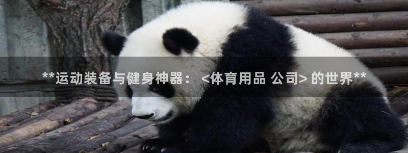 欧陆娱乐是正规平台吗安全吗：**运动装备与健身神器：