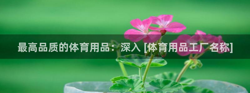 欧陆娱乐试玩官网：最高品质的体育用品：深入 [体育用品工厂名