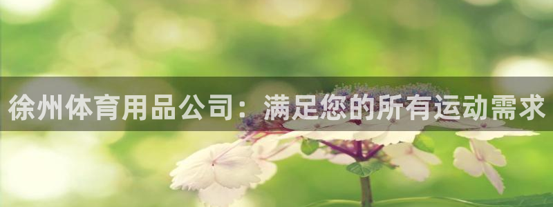 欧陆娱乐是正规平台吗安全吗可信吗：徐州体育用品公司：满足您的