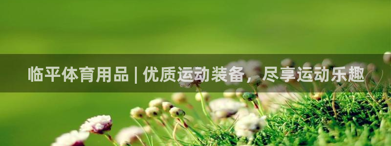 欧陆娱乐平台咋样啊：临平体育用品 | 优质运动装备，