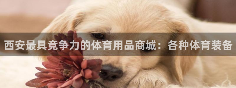 欧陆娱乐平台咋样啊知乎：西安最具竞争力的体育用品商城
