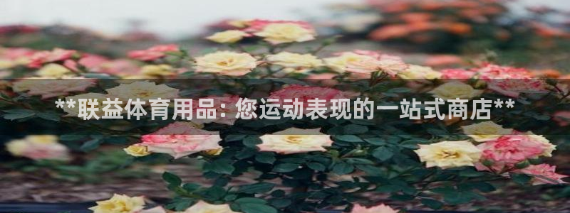 欧陆娱乐官网注册中心：**联益体育用品: 您运动表现