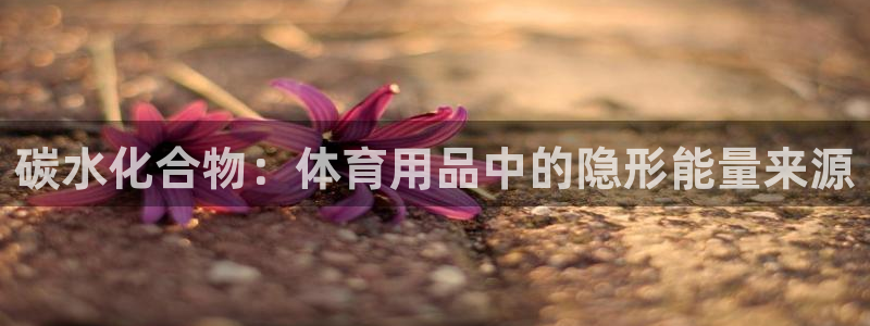 重庆欧陆娱乐有限公司地址：碳水化合物：体育用品中的隐