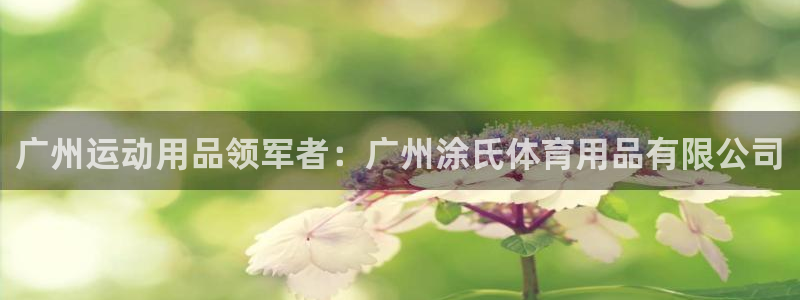 欧陆娱乐总代：广州运动用品领军者：广州涂氏体育用品有