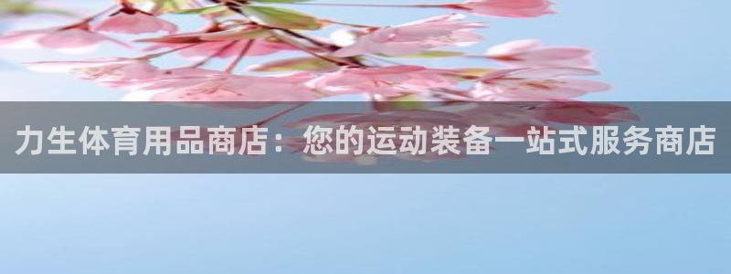 欧陆娱乐登陆官网网址：力生体育用品商店：您的运动装备