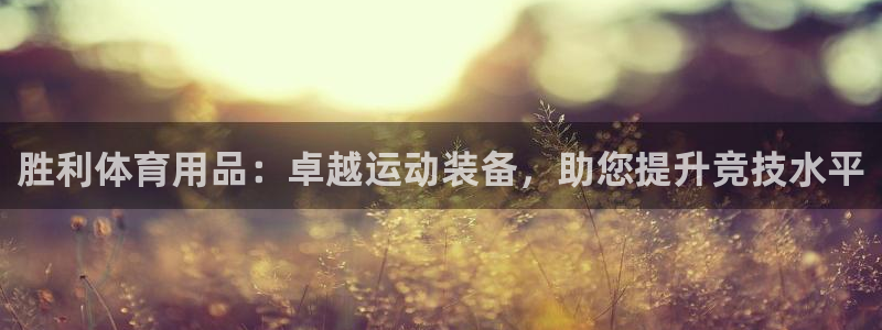 欧陆娱乐平台登陆地址是什么意思：胜利体育用品：卓越运