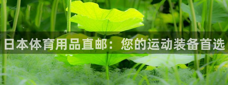 欧陆娱乐登录注册平台官网：日本体育用品直邮：您的运动
