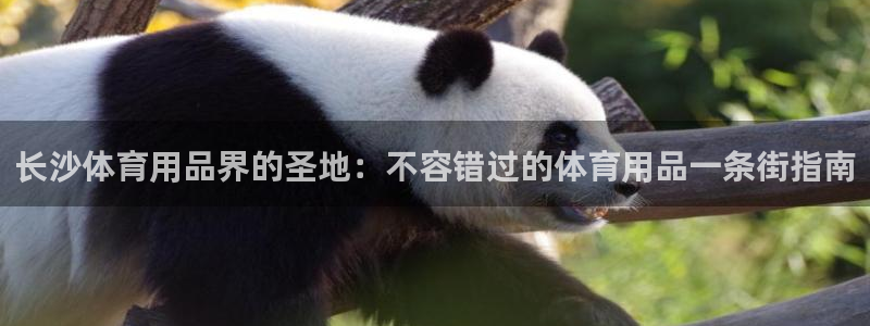 欧陆娱乐客服电话号码：长沙体育用品界的圣地：不容错过