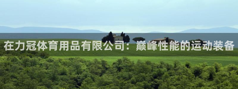 欧陆娱乐有限公司怎么样：在力冠体育用品有限公司：巅峰
