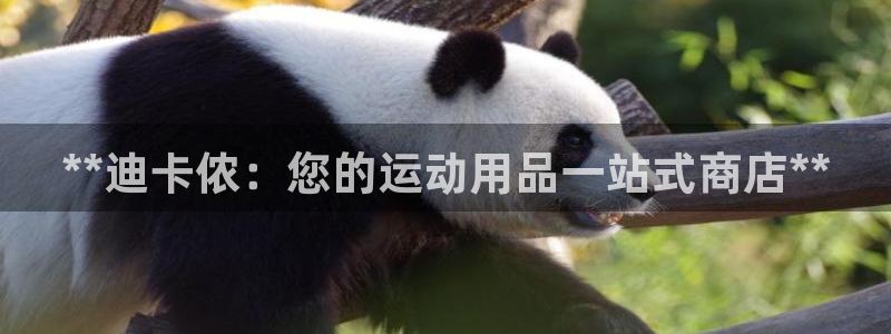 欧陆娱乐客服服务怎么样：**迪卡侬：您的运动用品一站