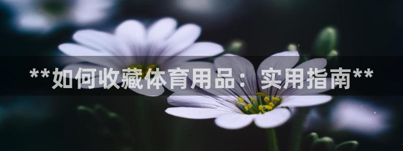 欧陆娱乐平台毕 (q—43314) 旨：**如何收藏体育用品