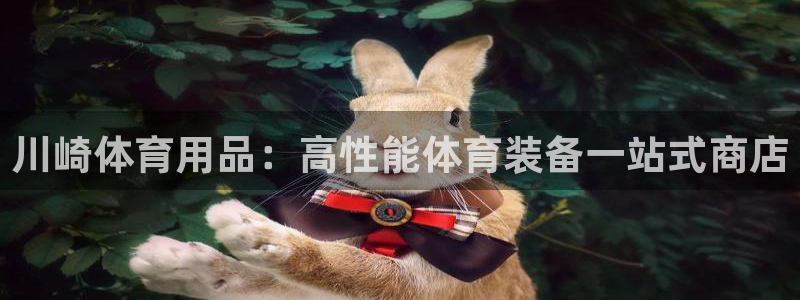 欧陆娱乐稳中：川崎体育用品：高性能体育装备一站式商店