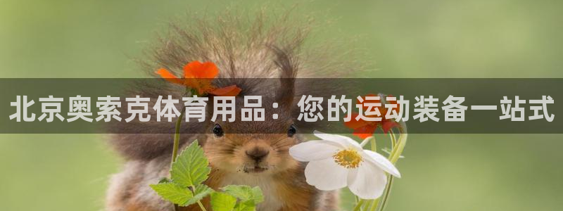 欧陆娱乐怎么注册会员账号啊：北京奥索克体育用品：您的
