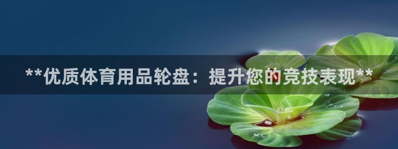 欧陆娱乐出款：**优质体育用品轮盘：提升您的竞技表现**
