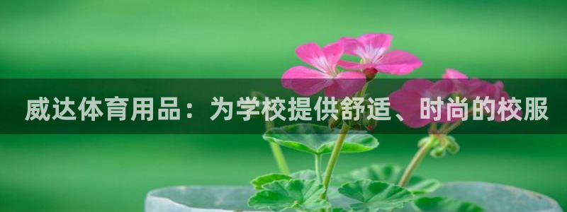 欧陆娱乐是正规平台吗安全吗可信吗是真的吗： 威达体育
