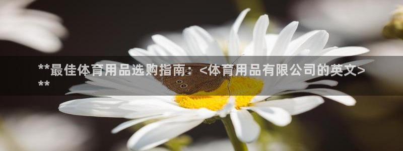 欧陆娱乐官方网站首页：**最佳体育用品选购指南：<体
