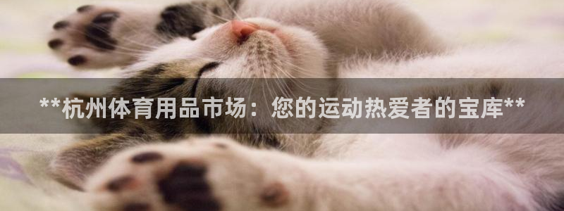 欧陆商城：**杭州体育用品市场：您的运动热爱者的宝库