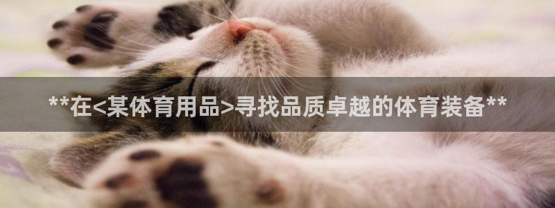 欧陆娱乐是正规平台吗安全吗可信吗：**在<某体育用品>寻找品