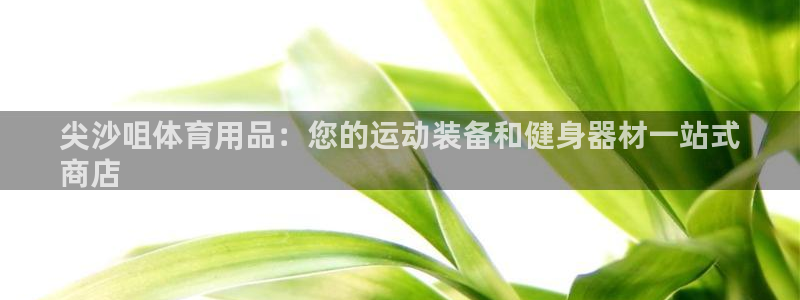 欧陆娱乐测速：尖沙咀体育用品：您的运动装备和健身器材一站式
