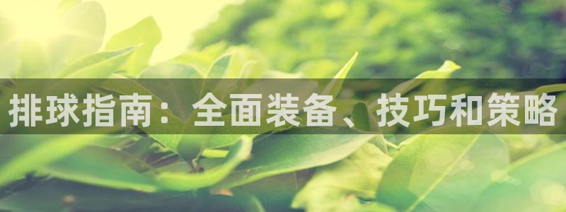 欧陆娱乐计划app官方正版安装下载：排球指南：全面装