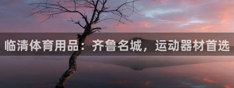 欧陆娱乐官网网址是什么：临清体育用品：齐鲁名城，运动器材首选
