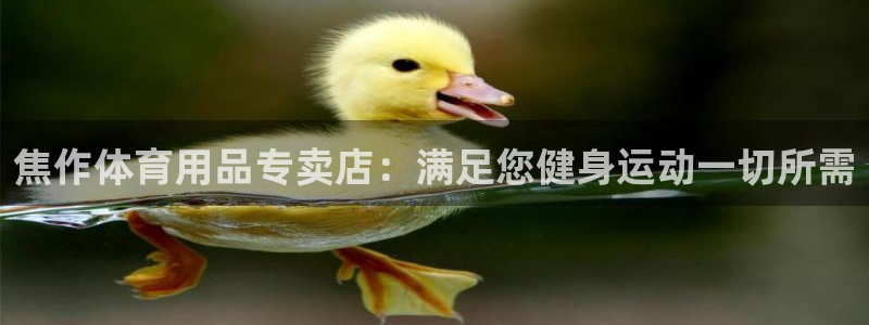 欧陆娱乐登录平台：焦作体育用品专卖店：满足您健身运动
