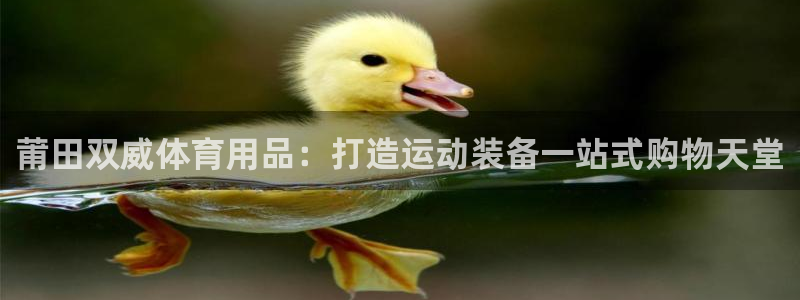 欧陆娱乐计划预测软件：莆田双威体育用品：打造运动装备
