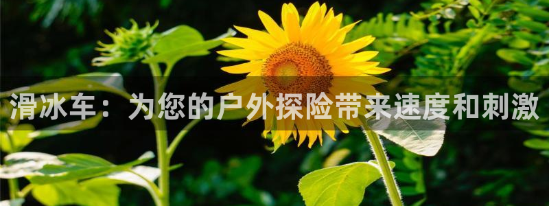 欧陆娱乐登录平台有哪些：滑冰车：为您的户外探险带来速